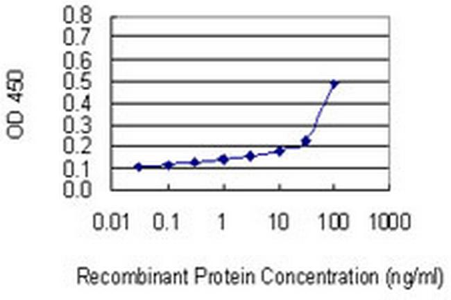 MRPL4 Antibody in ELISA (ELISA)