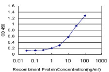 IRAK4 Antibody in ELISA (ELISA)