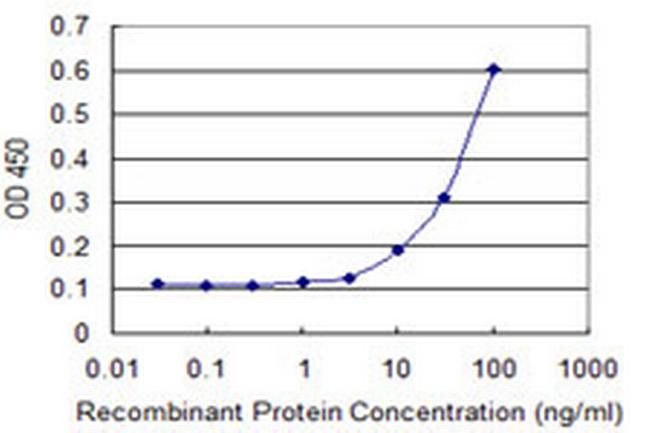 CDKL3 Antibody in ELISA (ELISA)
