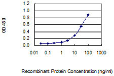 HSFX1 Antibody in ELISA (ELISA)