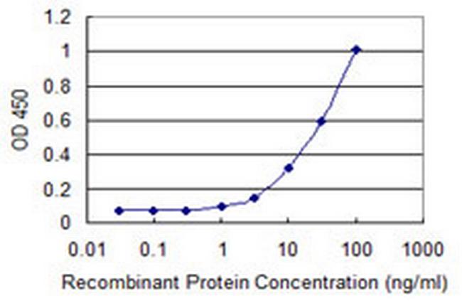 LCMT1 Antibody in ELISA (ELISA)