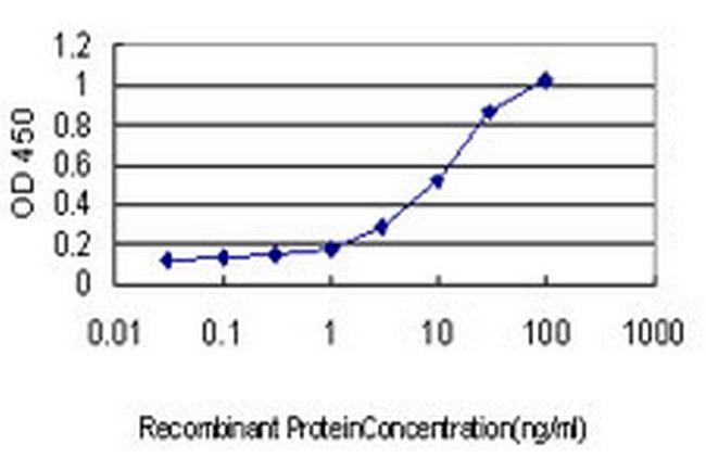 NLK Antibody in ELISA (ELISA)