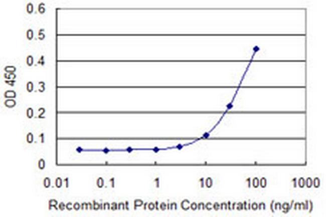 ZAK Antibody in ELISA (ELISA)