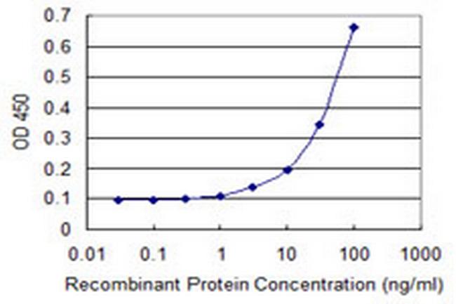 ZFYVE1 Antibody in ELISA (ELISA)