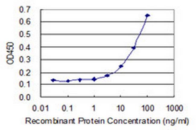 MRPS21 Antibody in ELISA (ELISA)