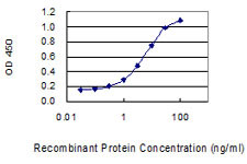 FAM35A Antibody in ELISA (ELISA)