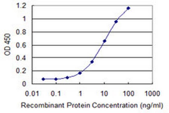 UGT1A6 Antibody in ELISA (ELISA)