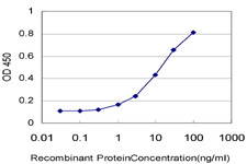 DYM Antibody in ELISA (ELISA)