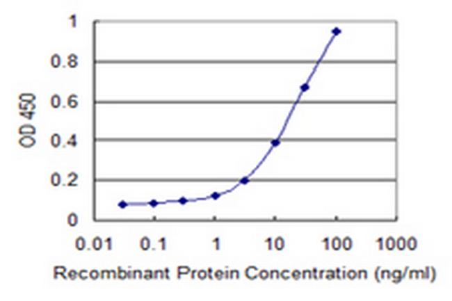 PANK4 Antibody in ELISA (ELISA)