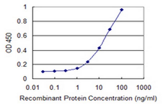 PANK4 Antibody in ELISA (ELISA)