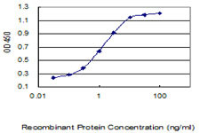 TMEM176A Antibody in ELISA (ELISA)