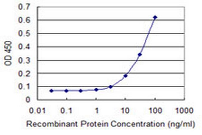 ETNK1 Antibody in ELISA (ELISA)