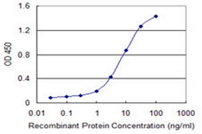 CDC42BPG Antibody in ELISA (ELISA)