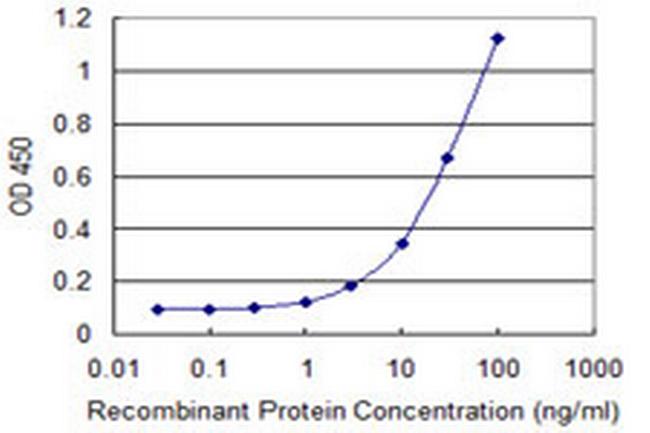 KIF16B Antibody in ELISA (ELISA)