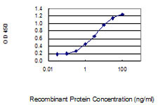NUP133 Antibody in ELISA (ELISA)