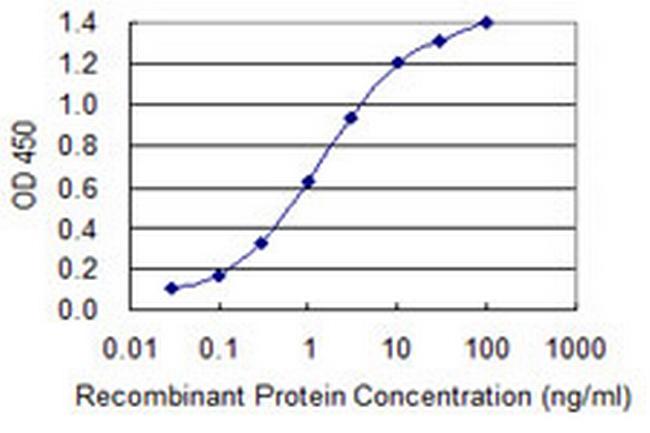 DEPDC1B Antibody in ELISA (ELISA)