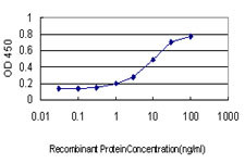 APOM Antibody in ELISA (ELISA)