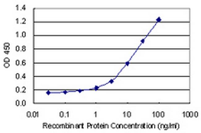 NDNL2 Antibody in ELISA (ELISA)