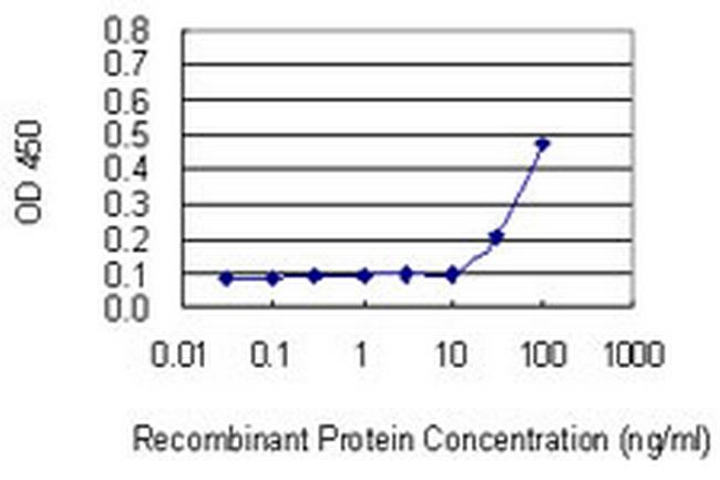 C11orf17 Antibody in ELISA (ELISA)