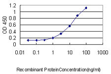TMEPAI Antibody in ELISA (ELISA)