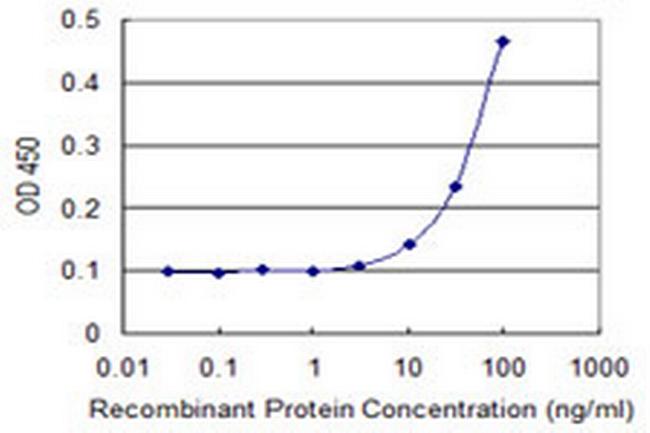MRPS22 Antibody in ELISA (ELISA)