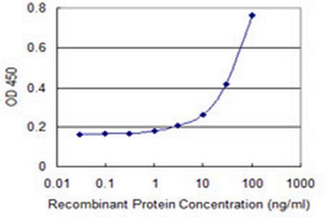 MRS2L Antibody in ELISA (ELISA)