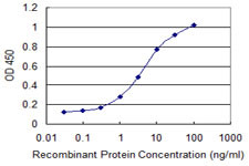 NDRG2 Antibody in ELISA (ELISA)