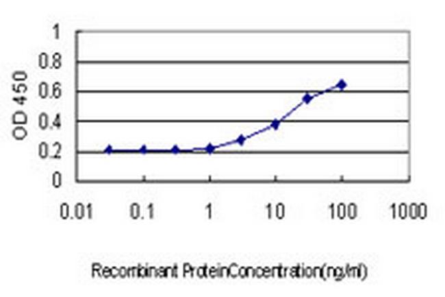 HECW2 Antibody in ELISA (ELISA)