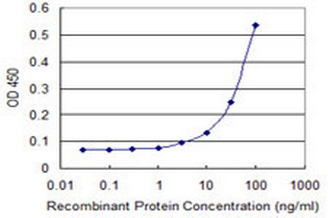 MIB1 Antibody in ELISA (ELISA)