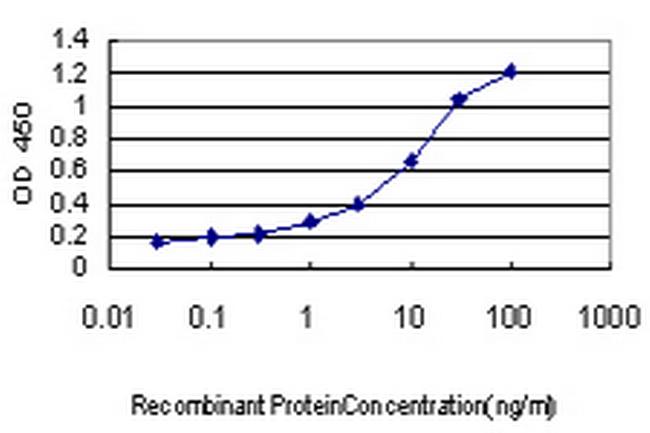 MIB1 Antibody in ELISA (ELISA)