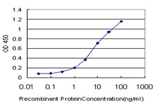 NGB Antibody in ELISA (ELISA)