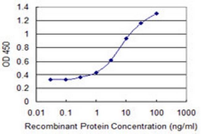 ELMO2 Antibody in ELISA (ELISA)