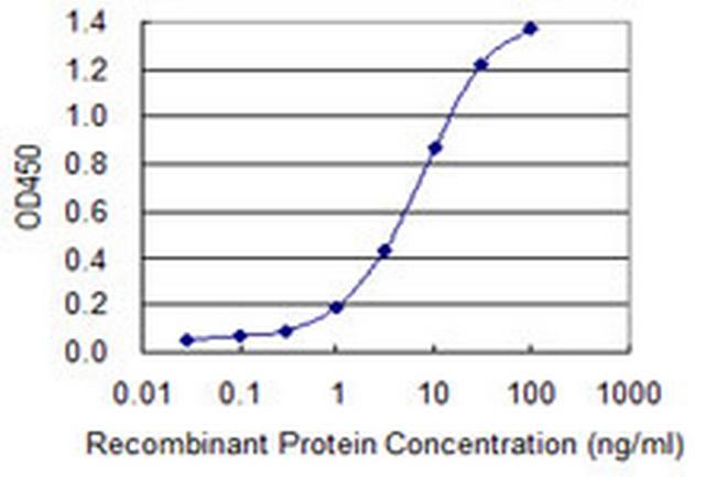 SNX16 Antibody in ELISA (ELISA)