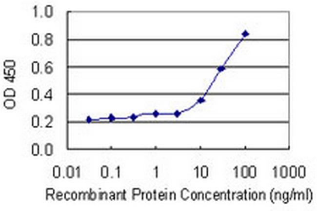 SAMSN1 Antibody in ELISA (ELISA)
