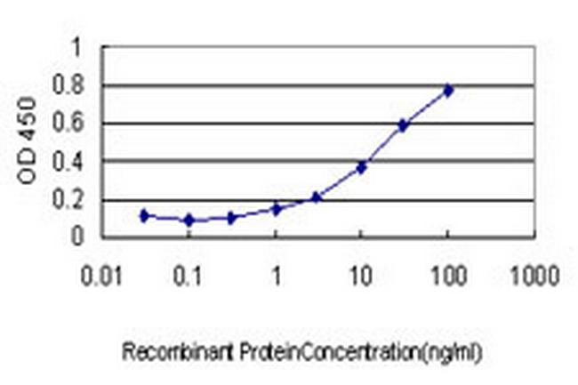 RAB17 Antibody in ELISA (ELISA)