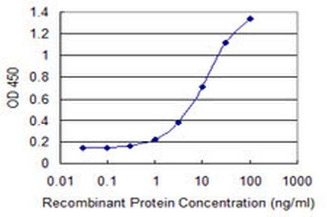 CREB3L2 Antibody in ELISA (ELISA)
