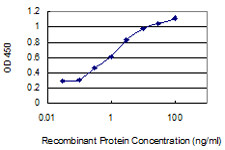 DBNDD1 Antibody in ELISA (ELISA)