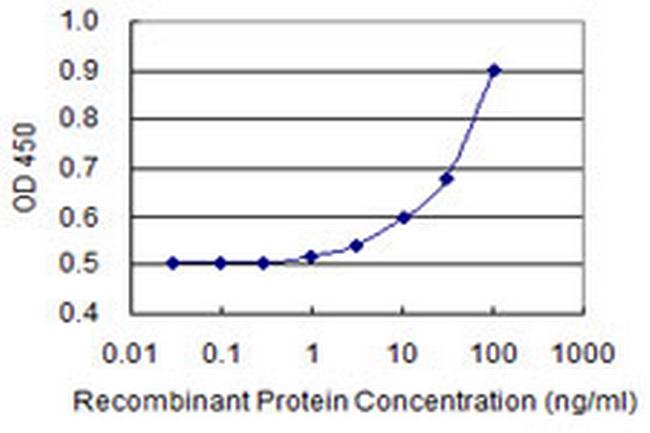SLC25A23 Antibody in ELISA (ELISA)