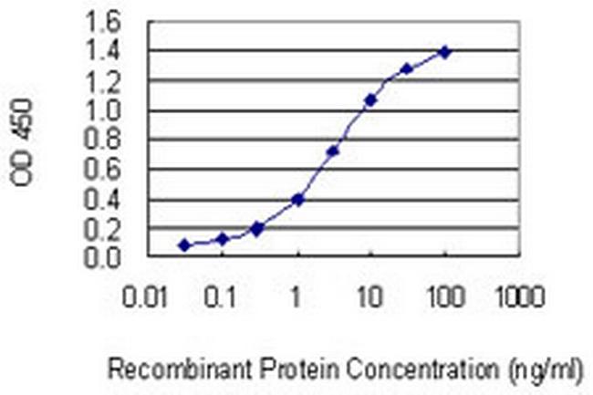 MMP28 Antibody in ELISA (ELISA)