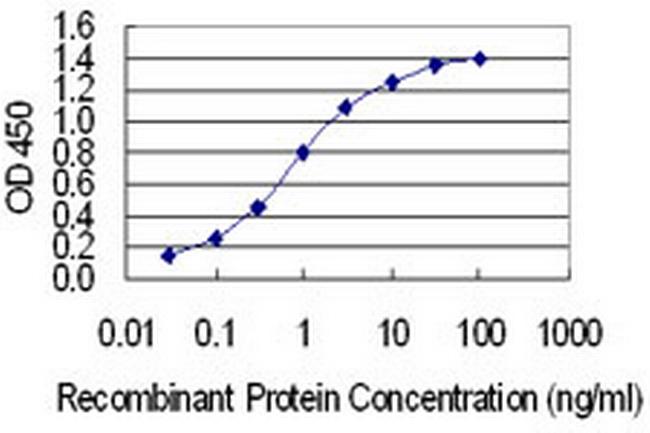 IRX1 Antibody in ELISA (ELISA)