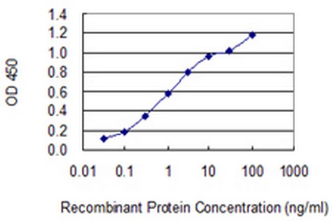 CCNJL Antibody in ELISA (ELISA)