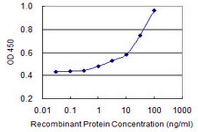 PANK3 Antibody in ELISA (ELISA)