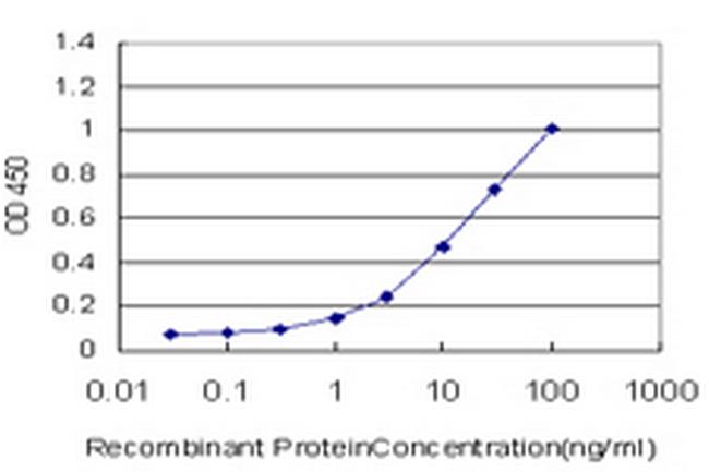 GEMIN7 Antibody in ELISA (ELISA)
