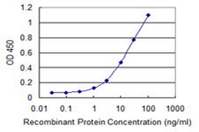 ATP8B4 Antibody in ELISA (ELISA)