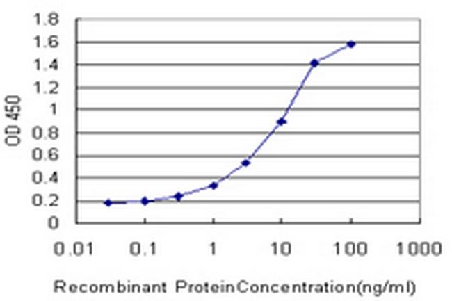MAP1LC3B Antibody in ELISA (ELISA)