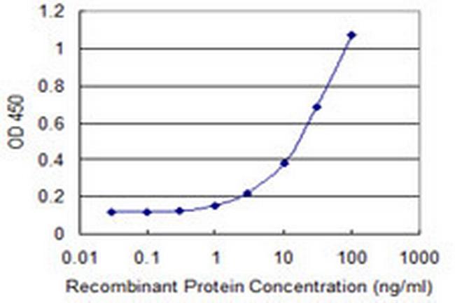 MAP1LC3B Antibody in ELISA (ELISA)