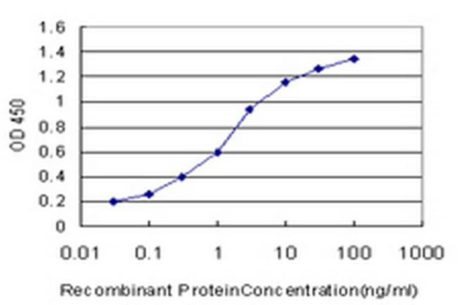ISCA1 Antibody in ELISA (ELISA)