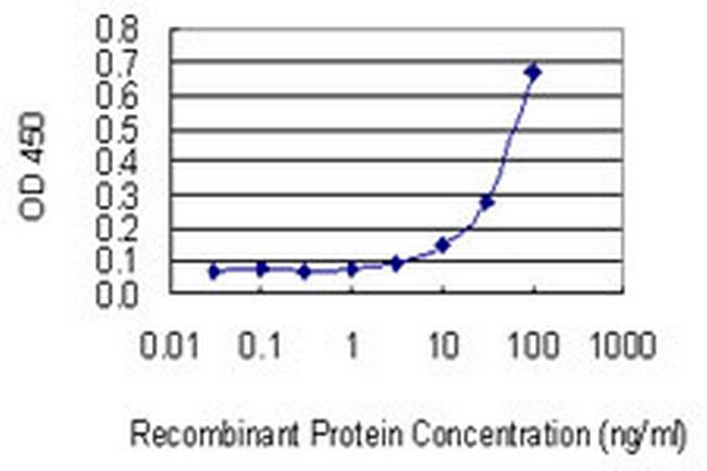 NETO2 Antibody in ELISA (ELISA)