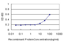 CDCA3 Antibody in ELISA (ELISA)