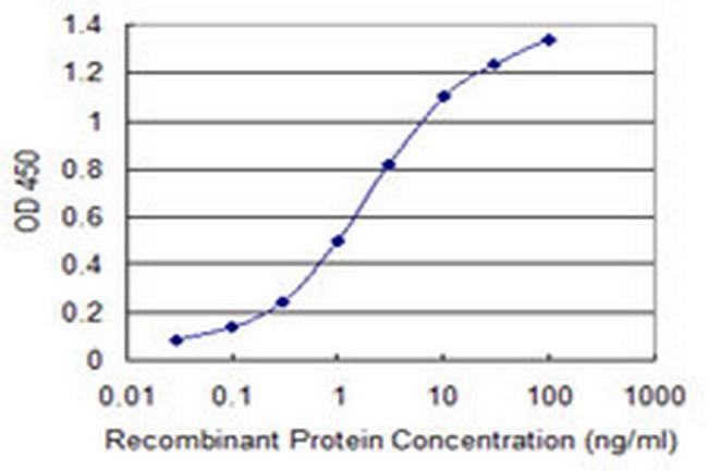CALN1 Antibody in ELISA (ELISA)